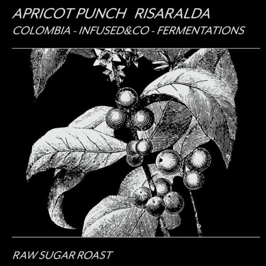 Drip Coffee Bag 5pc Colombia  Apricot Punch