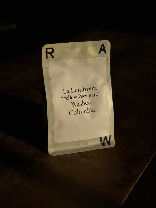 Colombia 　La Lumbrera -Yellow Pacamara-